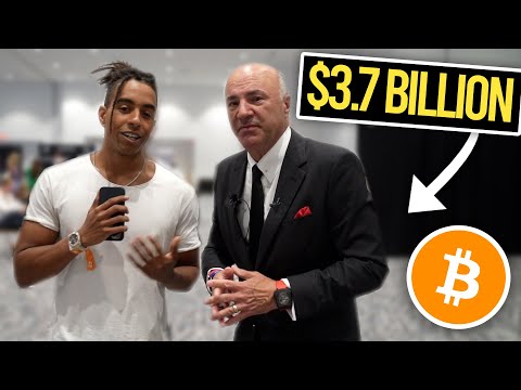 I Asked Bitcoin Billionaires For Crypto Advice