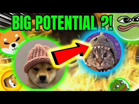 MEMECOIN GEM ON THE RISE ?! 🚀 NEXT DOG WIF HAT WIF INCOMING ?!📡💎📈WATCH OUT FOR THIS! 🔥