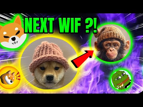 MEMECOIN GEM ON THE RISE ?! 🚀 NEXT DOG WIF HAT WIF INCOMING ?!📡💎📈WATCH OUT FOR THIS! 🔥