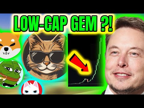 NEW SOLANA MEME COIN GEM ?!🚀 SUPER EARLY & LOW CAP MEMECOIN!!📡💎📈 NEXT MEW ?! 🔥