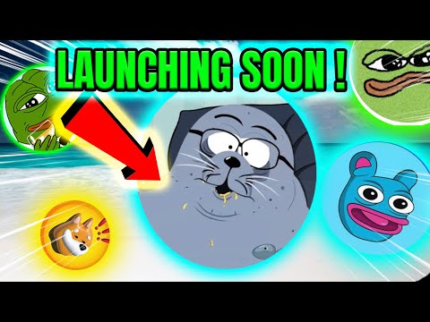 NEW SOLANA MEME COIN GEM?!🚀 LAST CHANCE !!!!🔥👀 VERY EARLY NEW MEME COIN!