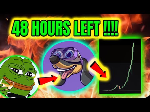 NEW CRYPTO MEMECOIN !💥 48 HOURS LEFT – LAST CHANCE! 🔥 BIG POTENTIAL MEMECOIN ?!