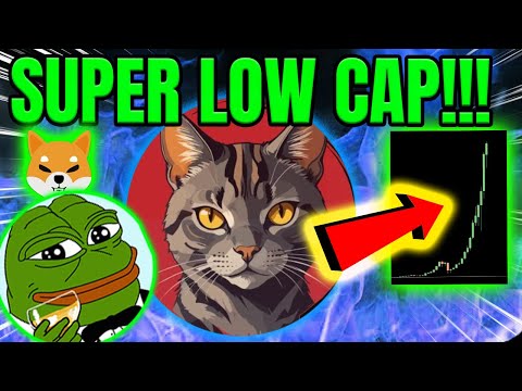 THIS LOW CAP MEME COIN JUST LAUNCHED 🚀 BIG POTENTIAL ?! 🔥 NEW LOW CAP MEME TOKEN !🔥