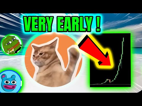 THIS NEW MEME COIN JUST LAUNCHED 🚀 MEGA POTENTIAL ?! 🔥 CATSLAP! 🔥 THIS COULD BE BIG!