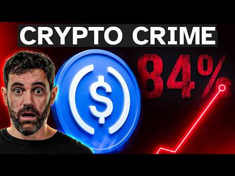 The Stablecoin Report That Changes Everything